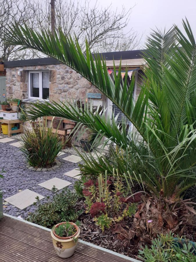 Little Pedn Apartment Penzance Bagian luar foto